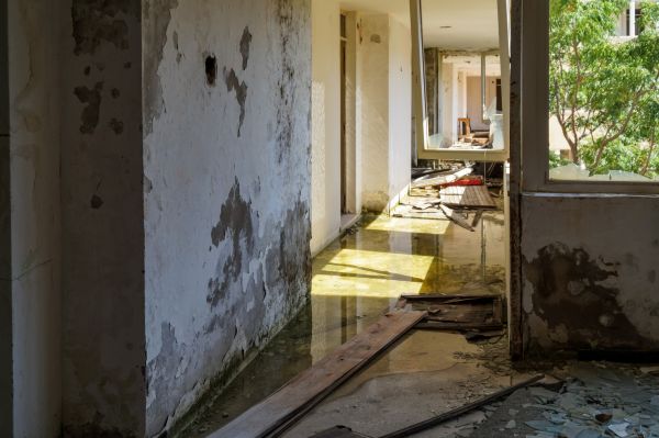 Cost of Water Removal Service in Monroe