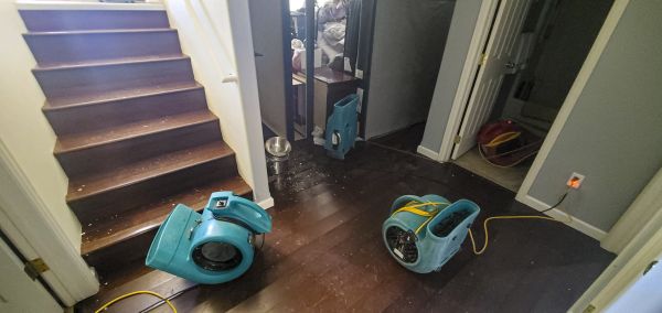 Water Damage Remediation in Monroe