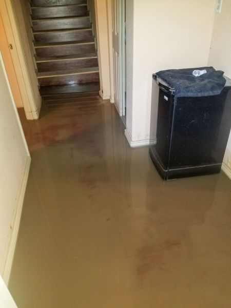 Cost of Emergency Water Removal in Monroe