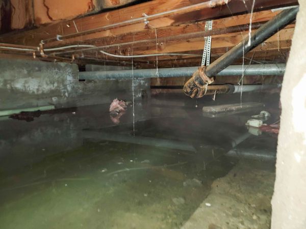 Crawl Space Drying in Monroe